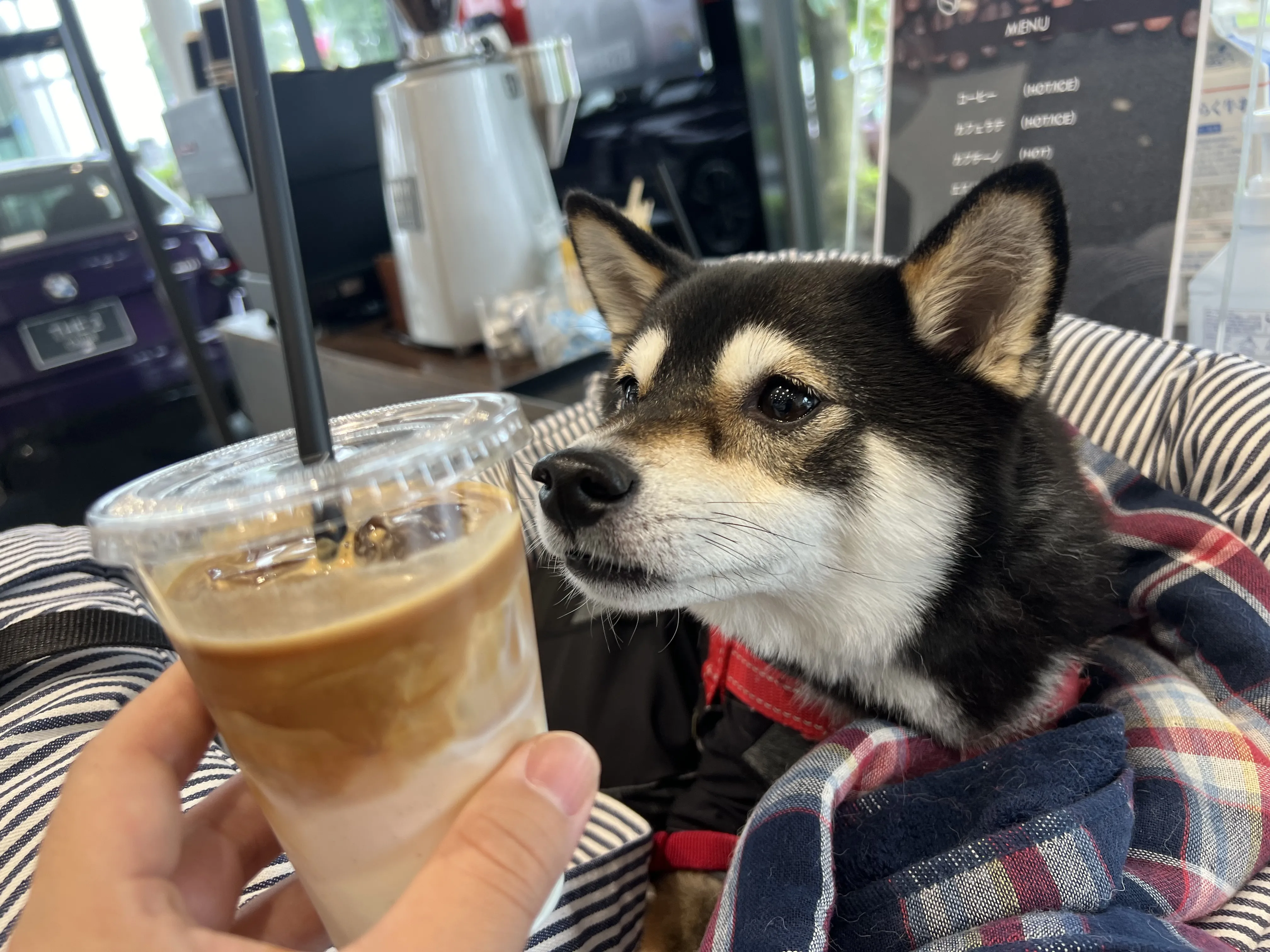 MINIの出張バリスタサービス 写真11