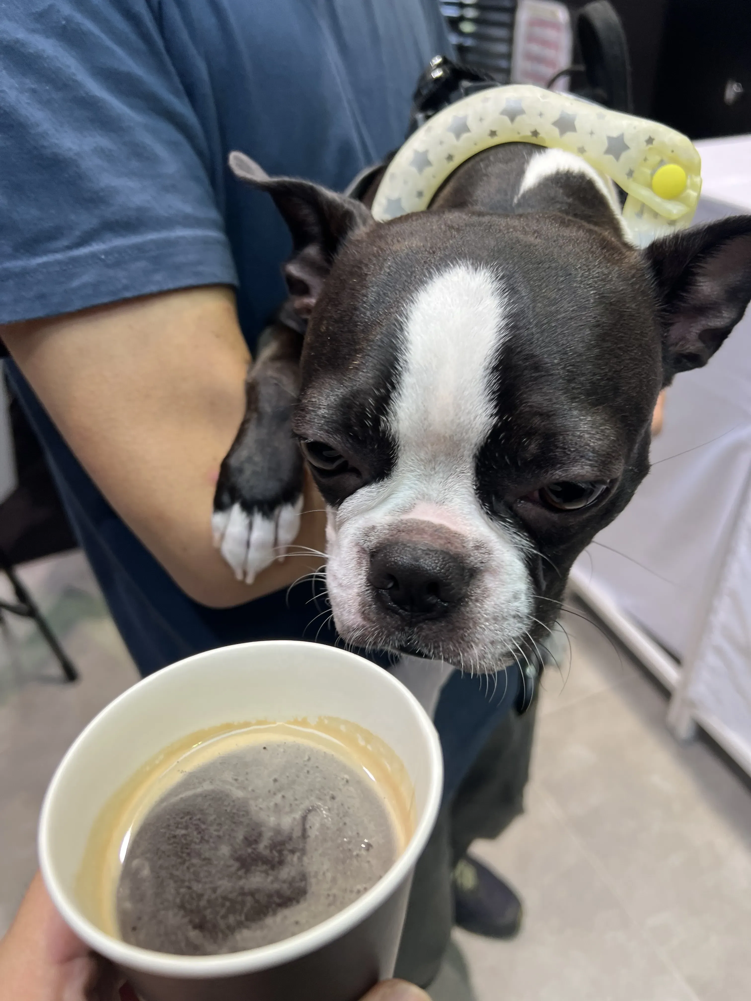 MINIの出張バリスタサービス 写真12